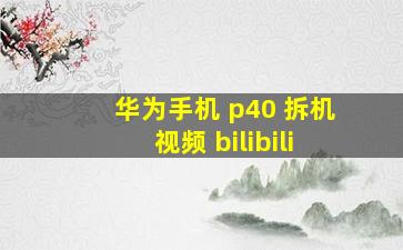 华为手机 p40 拆机视频 bilibili